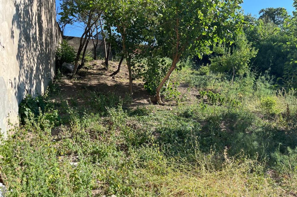 CENTURY 21 BAL'DAN SUSURLUK BURHANİYE MAH.DE SATILIK ARSA