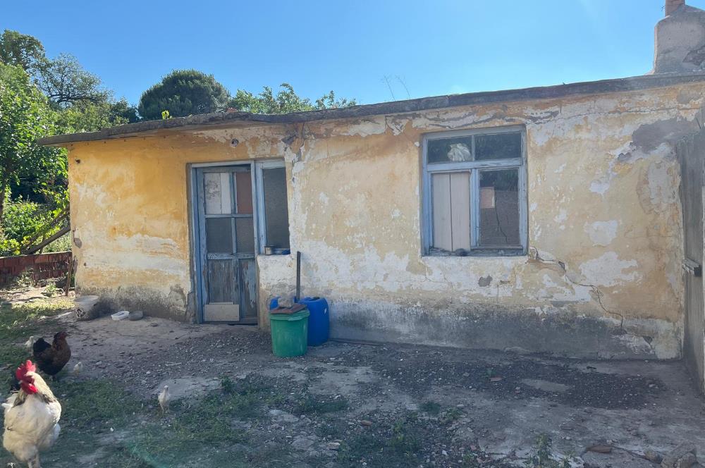 CENTURY 21 BAL'DAN SUSURLUK BURHANİYE MAH.DE SATILIK ARSA