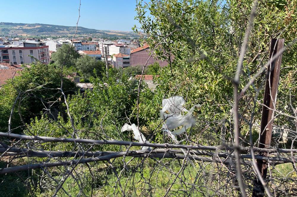 CENTURY 21 BAL'DAN SUSURLUK BURHANİYE MAH.DE SATILIK ARSA