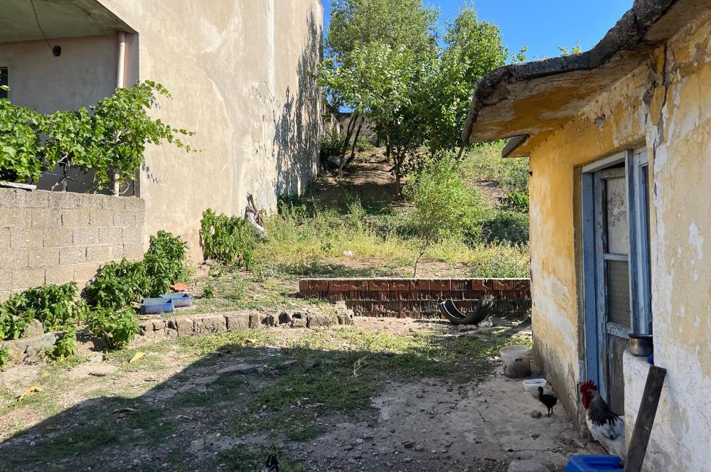 CENTURY 21 BAL'DAN SUSURLUK BURHANİYE MAH.DE SATILIK ARSA