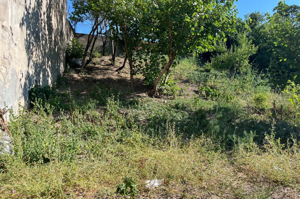 CENTURY 21 BAL'DAN SUSURLUK BURHANİYE MAH.DE SATILIK ARSA