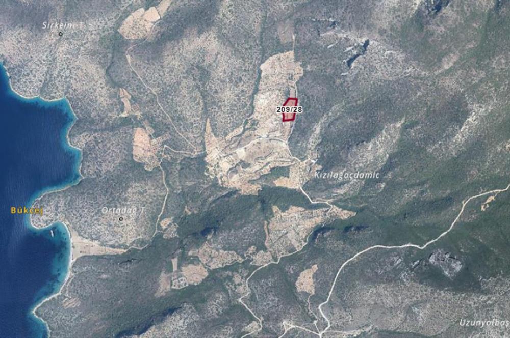 DATÇA CUMALIDA KADASTRAL YOLU OLAN 8.240 M2 BADEMLİK