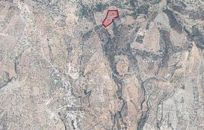 DATÇA CUMALIDA  DOĞA MANZARALI 8.790 M2 ZEYTİNLİK