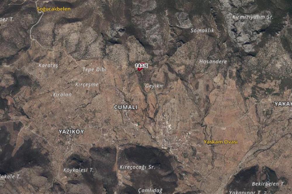DATÇA CUMALIDA  DOĞA MANZARALI 8.790 M2 ZEYTİNLİK