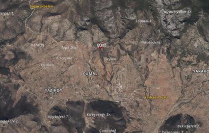 DATÇA CUMALIDA  DOĞA MANZARALI 8.790 M2 ZEYTİNLİK