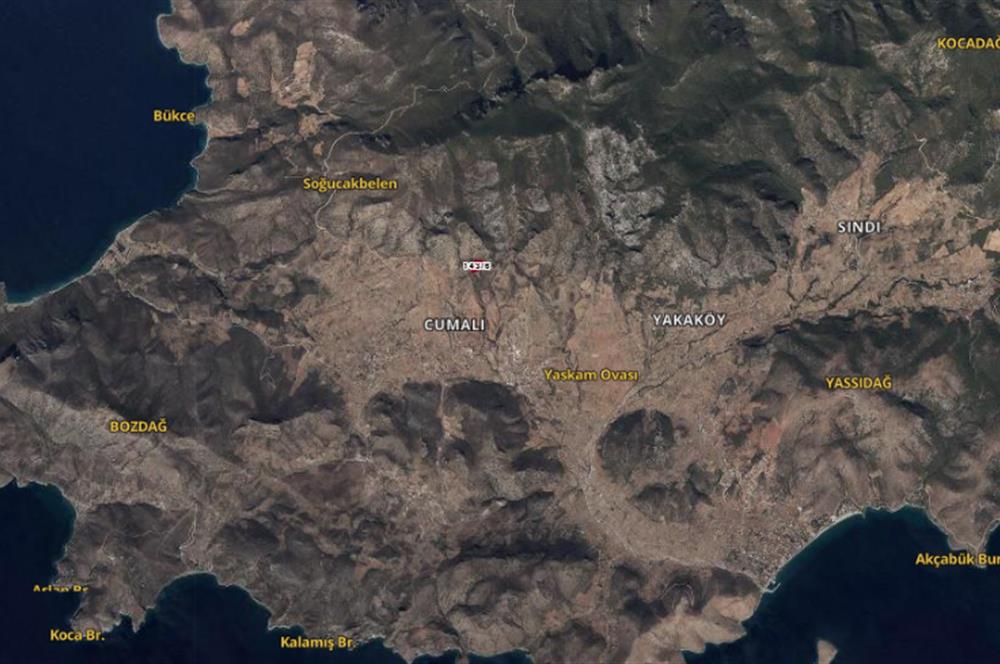 DATÇA CUMALIDA  DOĞA MANZARALI 8.790 M2 ZEYTİNLİK