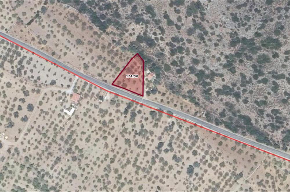 DATÇA PALAMUTBÜKÜNDE YOLA CEPHE 1267 M2 ARAZİ