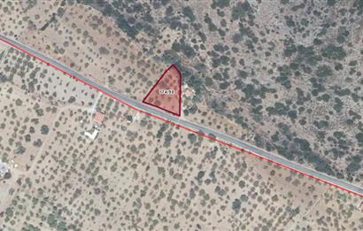 DATÇA PALAMUTBÜKÜNDE YOLA CEPHE 1267 M2 ARAZİ