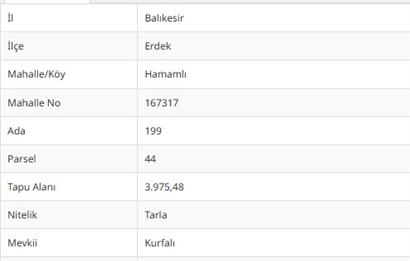 ERDEK HAMAMLIDA YATIRIMLIK TARLA FIRSATI!