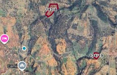 DATÇA CUMALIDA  DOĞA MANZARALI 8.790 M2 ZEYTİNLİK
