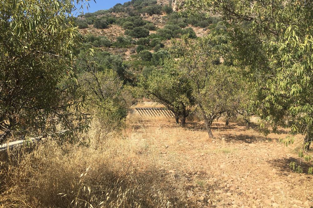 DATÇA PALAMUTBÜKÜNDE YOLA CEPHE 1267 M2 ARAZİ