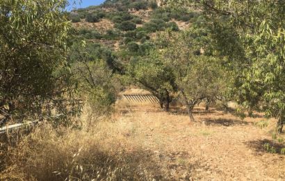 DATÇA PALAMUTBÜKÜNDE YOLA CEPHE 1267 M2 ARAZİ