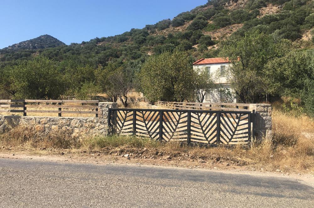DATÇA PALAMUTBÜKÜNDE YOLA CEPHE 1267 M2 ARAZİ
