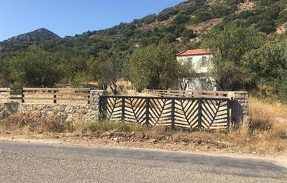 DATÇA PALAMUTBÜKÜNDE YOLA CEPHE 1267 M2 ARAZİ