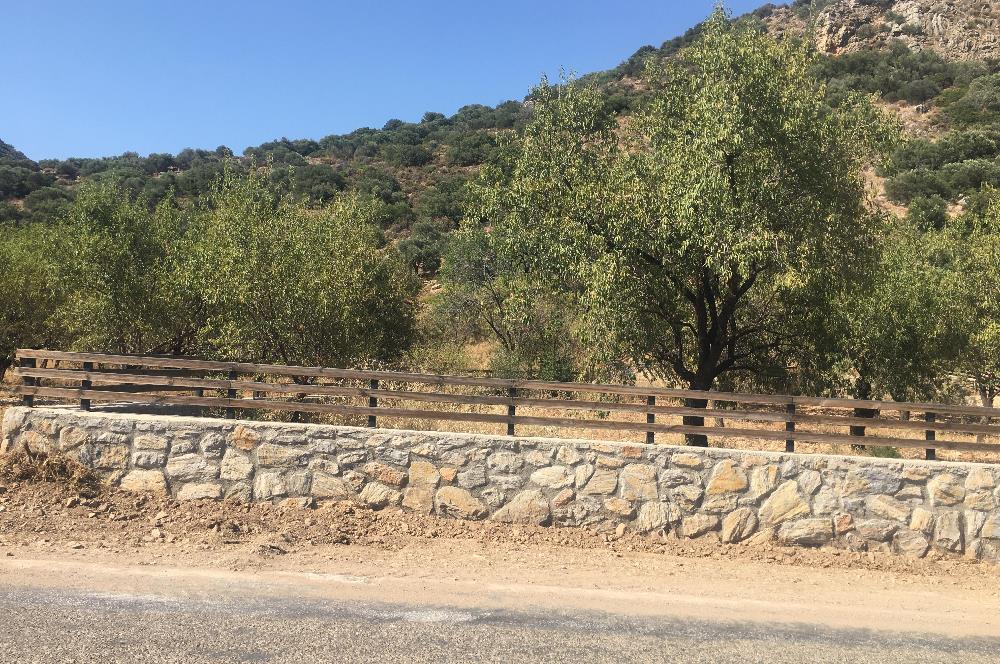 DATÇA PALAMUTBÜKÜNDE YOLA CEPHE 1267 M2 ARAZİ