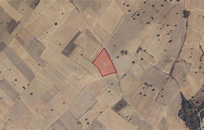 CENTURY21|NEXAR'DAN EDİRNE ENEZ SULTANİÇE- SATILIK 11400m2 TARLA