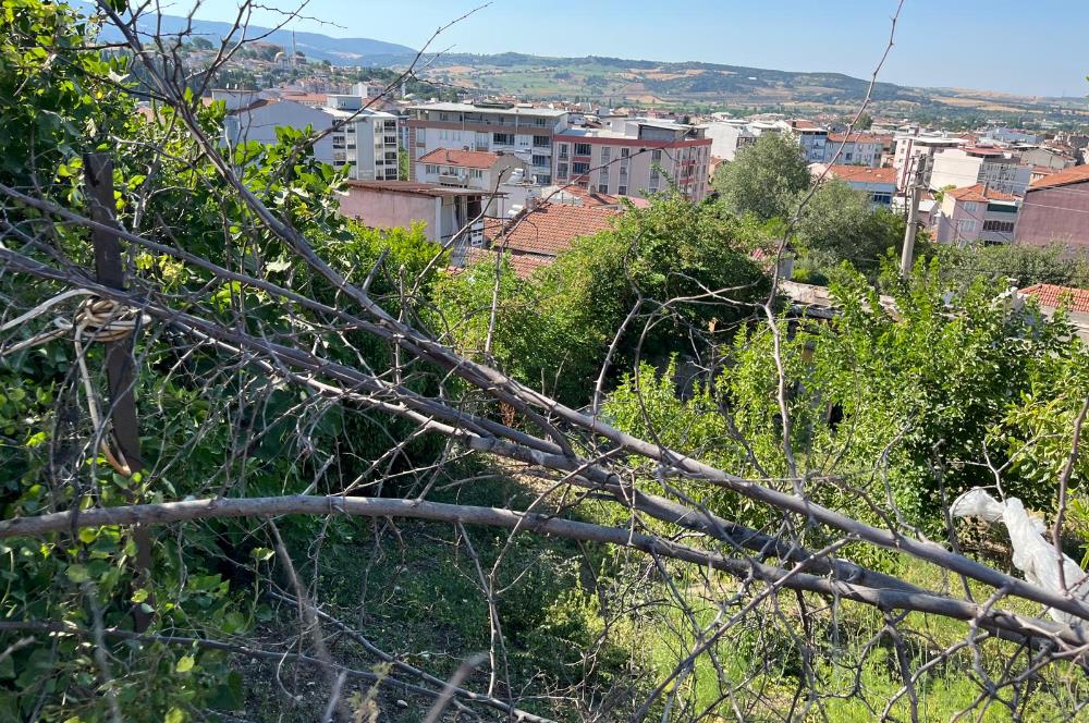 CENTURY 21 BAL'DAN SUSURLUK BURHANİYE MAH.DE SATILIK ARSA