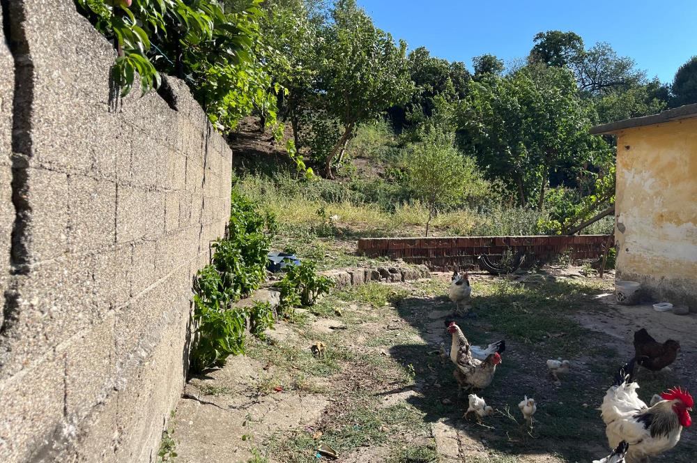 CENTURY 21 BAL'DAN SUSURLUK BURHANİYE MAH.DE SATILIK ARSA