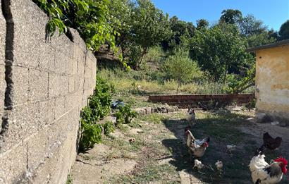 CENTURY 21 BAL'DAN SUSURLUK BURHANİYE MAH.DE SATILIK ARSA