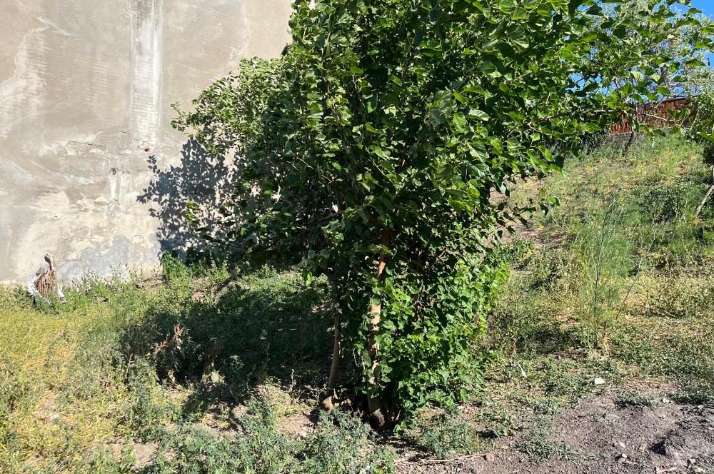 CENTURY 21 BAL'DAN SUSURLUK BURHANİYE MAH.DE SATILIK ARSA