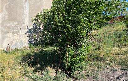 CENTURY 21 BAL'DAN SUSURLUK BURHANİYE MAH.DE SATILIK ARSA