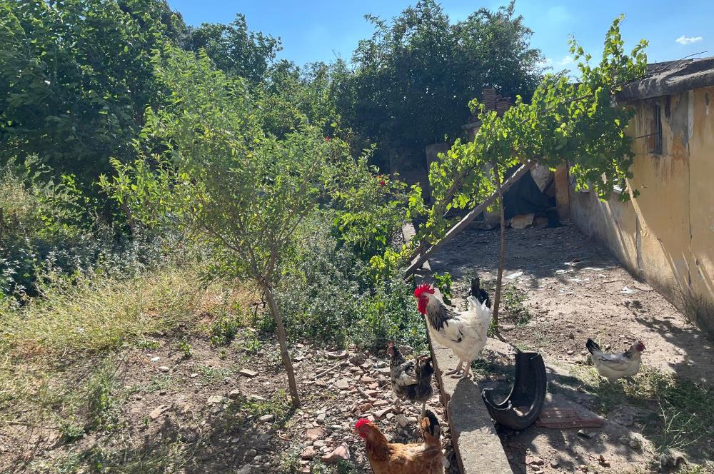 CENTURY 21 BAL'DAN SUSURLUK BURHANİYE MAH.DE SATILIK ARSA