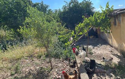 CENTURY 21 BAL'DAN SUSURLUK BURHANİYE MAH.DE SATILIK ARSA