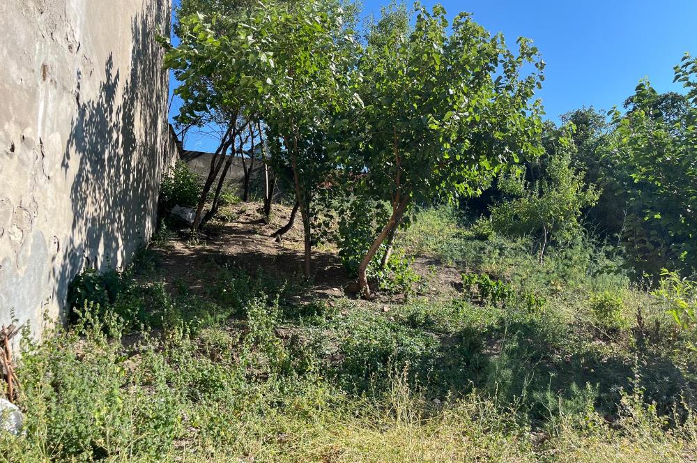 CENTURY 21 BAL'DAN SUSURLUK BURHANİYE MAH.DE SATILIK ARSA