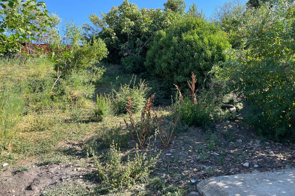 CENTURY 21 BAL'DAN SUSURLUK BURHANİYE MAH.DE SATILIK ARSA