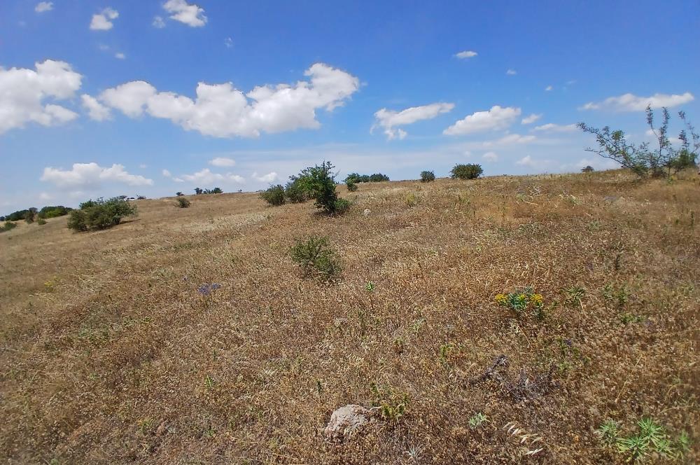 C21 LOCA'DAN KÖTEYLİ MAHALLESİNDE ŞEHİR MANZARALI SATILIK TARLA