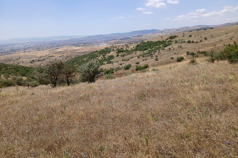 C21 LOCA'DAN KÖTEYLİ MAHALLESİNDE ŞEHİR MANZARALI SATILIK TARLA