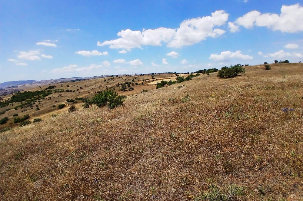 C21 LOCA'DAN KÖTEYLİ MAHALLESİNDE ŞEHİR MANZARALI SATILIK TARLA