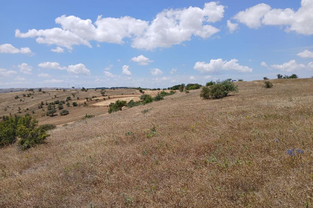 C21 LOCA'DAN KÖTEYLİ MAHALLESİNDE ŞEHİR MANZARALI SATILIK TARLA