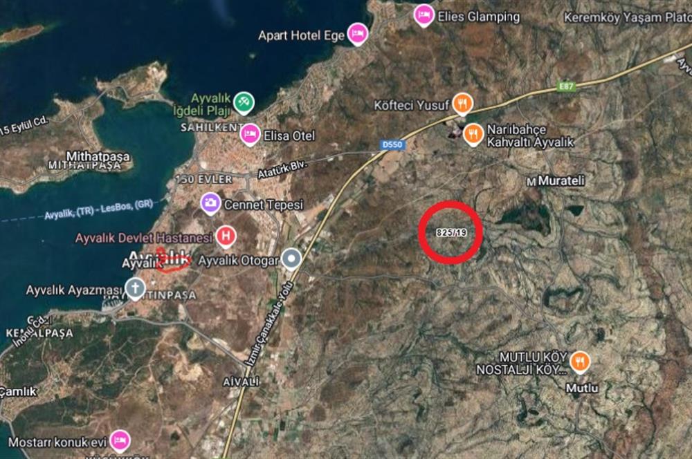 Ayvalık Fethiyede Yatırımlık 4.237 m² Zeytinlik Elektrik, Yol