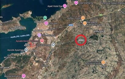 Ayvalık Fethiyede Yatırımlık 4.237 m² Zeytinlik Elektrik, Yol