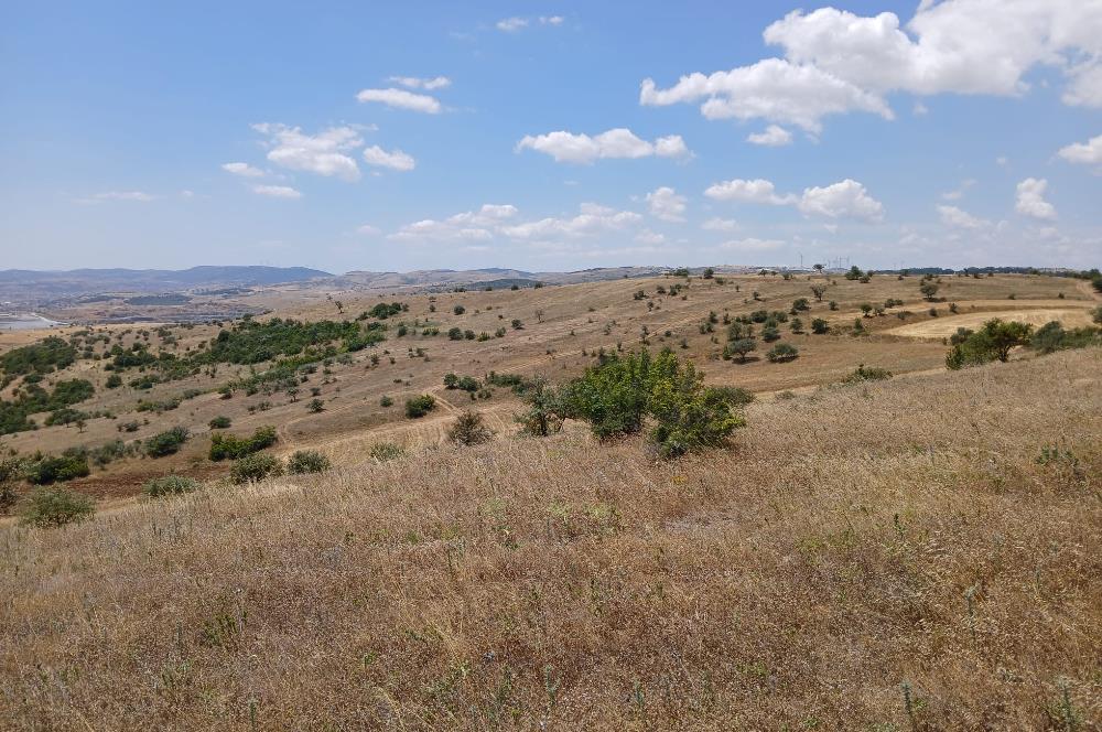 C21 LOCA'DAN KÖTEYLİ MAHALLESİNDE ŞEHİR MANZARALI SATILIK TARLA