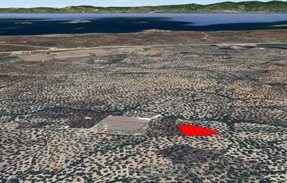 Ayvalık Fethiyede Yatırımlık 4.237 m² Zeytinlik Elektrik, Yol