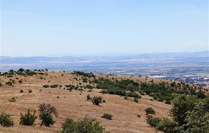 C21 LOCA'DAN KÖTEYLİ MAHALLESİNDE ŞEHİR MANZARALI SATILIK TARLA