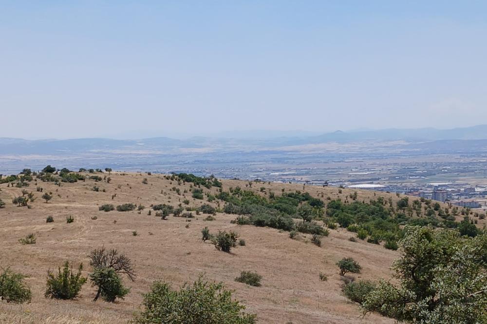 C21 LOCA'DAN KÖTEYLİ MAHALLESİNDE ŞEHİR MANZARALI SATILIK TARLA