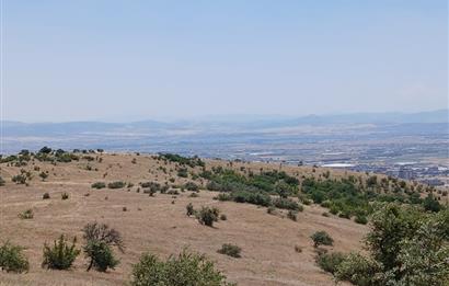 C21 LOCA'DAN KÖTEYLİ MAHALLESİNDE ŞEHİR MANZARALI SATILIK TARLA