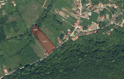 CENTURY21|NEXAR AMASRA GÖÇKÜNDEMİRCİ'DE PLAJA YAKIN İMARLI ARSA