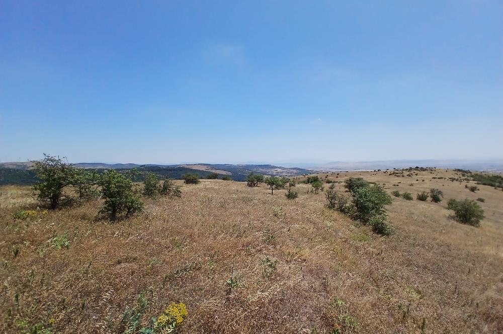 C21 LOCA'DAN KÖTEYLİ MAHALLESİNDE ŞEHİR MANZARALI SATILIK TARLA