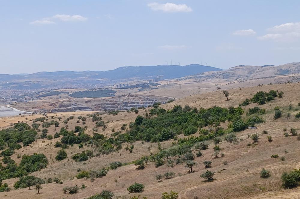 C21 LOCA'DAN KÖTEYLİ MAHALLESİNDE ŞEHİR MANZARALI SATILIK TARLA