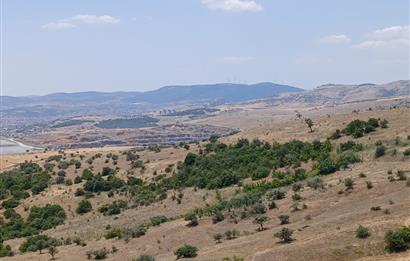 C21 LOCA'DAN KÖTEYLİ MAHALLESİNDE ŞEHİR MANZARALI SATILIK TARLA