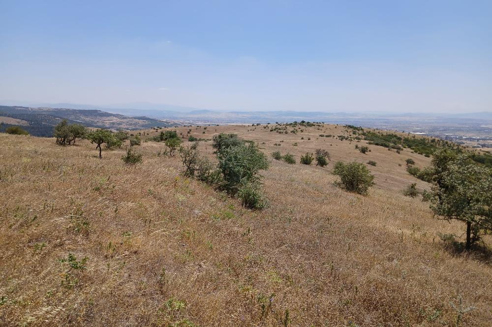 C21 LOCA'DAN KÖTEYLİ MAHALLESİNDE ŞEHİR MANZARALI SATILIK TARLA