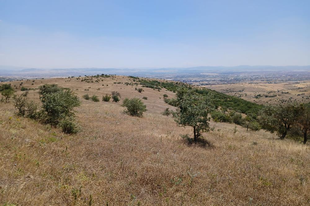 C21 LOCA'DAN KÖTEYLİ MAHALLESİNDE ŞEHİR MANZARALI SATILIK TARLA
