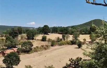 balıkesır ıvrındı tarla