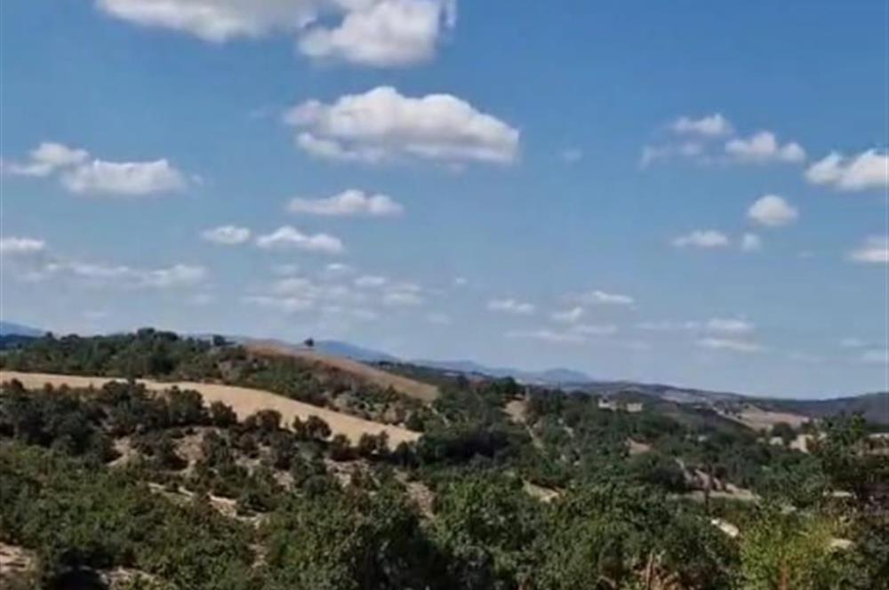 balıkesır ıvrındı tarla