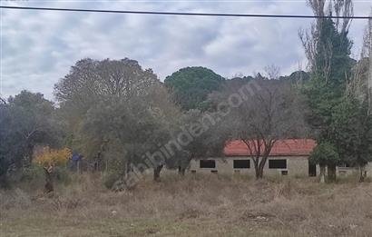 cenekkale eceabatta arsa ıcınde kargır bına ve agır