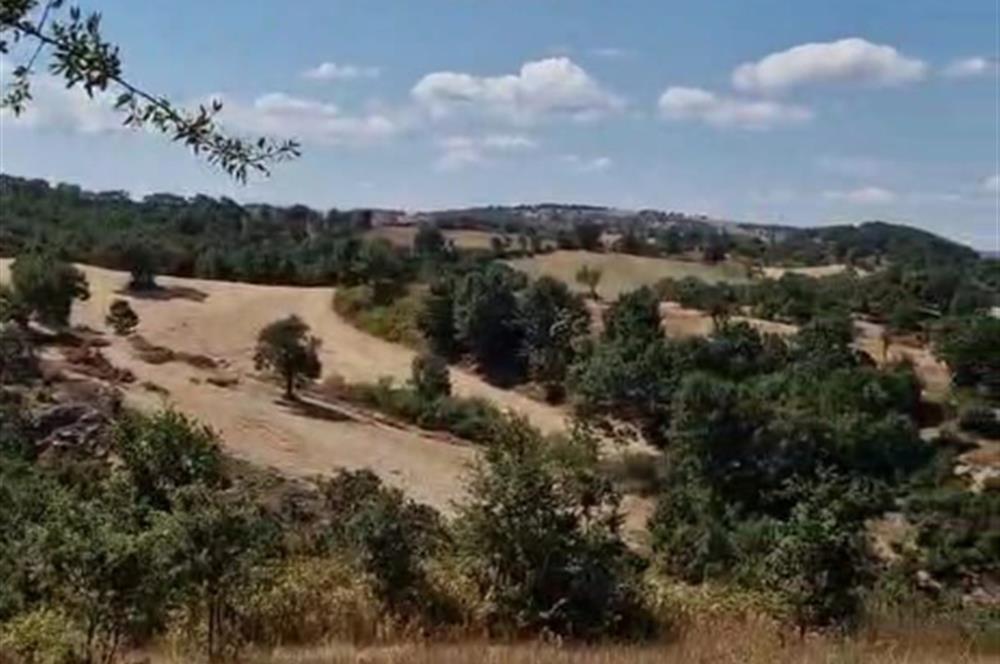 balıkesır ıvrındı tarla